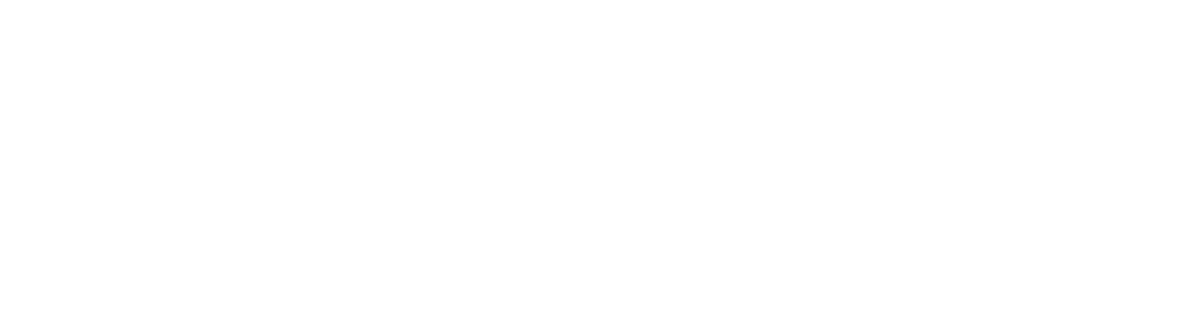 Endurance Dynamics Experiences